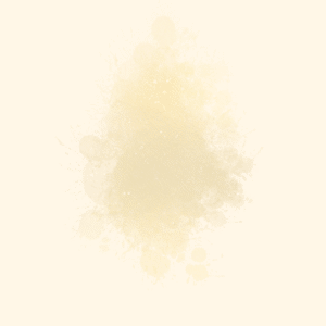 lorem ipsum. 